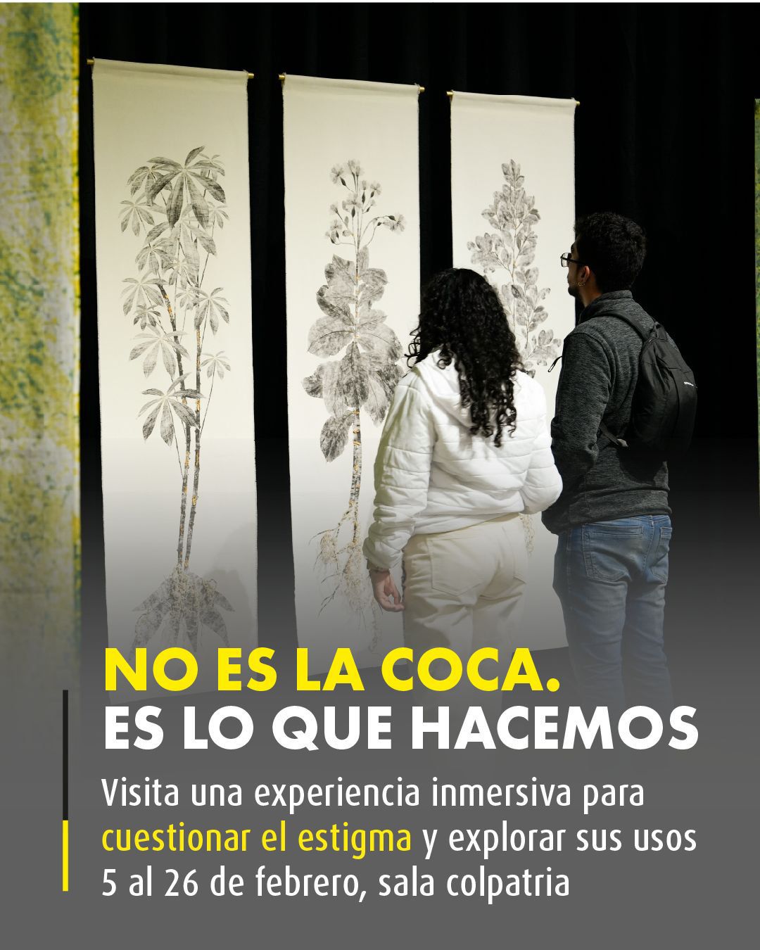 20260205-Exposicion-inmersiva-coca-i-nada-mas