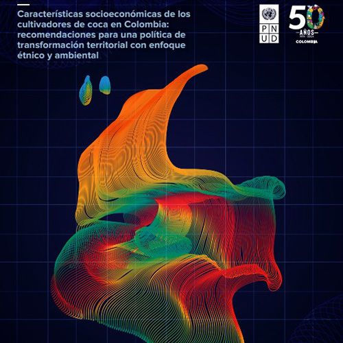 Caracteristicas-socioeconomicas-cultivadores-coca-colombia