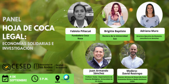 Panel-hoja-de-coca-legal