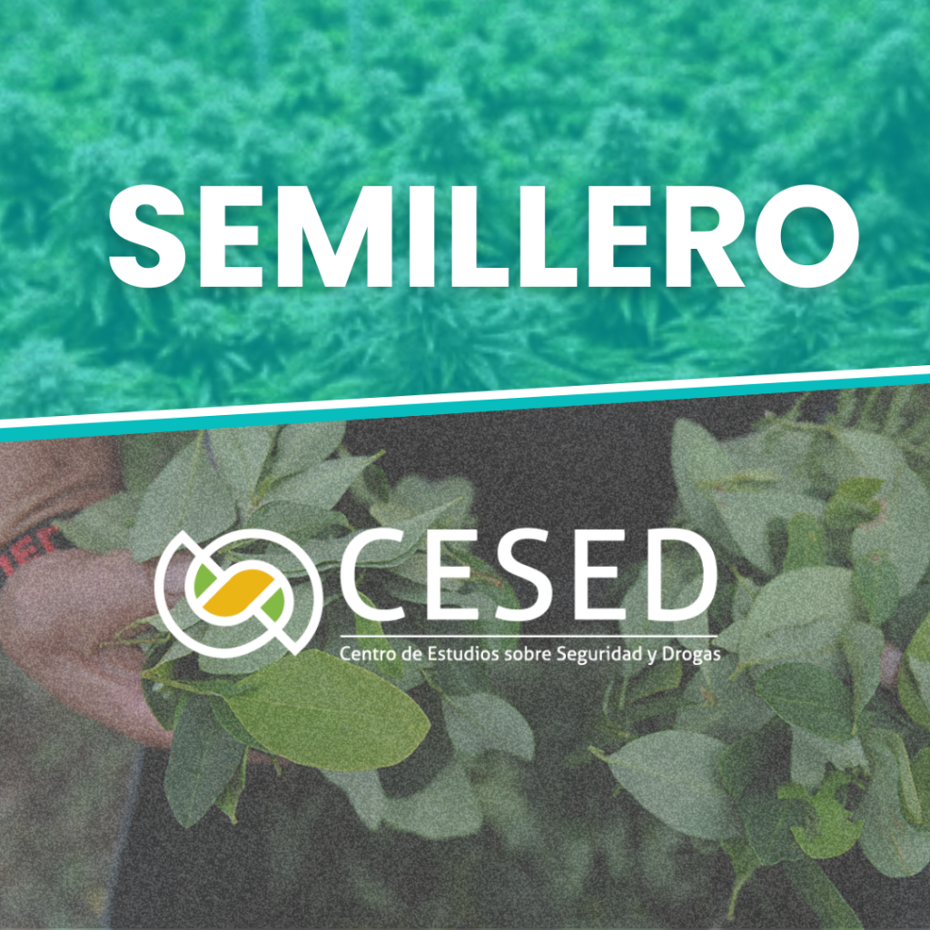 Semillero-CESED