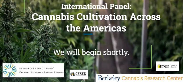 Panel-internacional-cultivo-cannabis-en-las-americas-dest