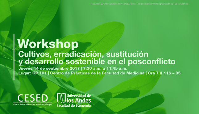 Workshop-cultivos-y erradicacion-2017