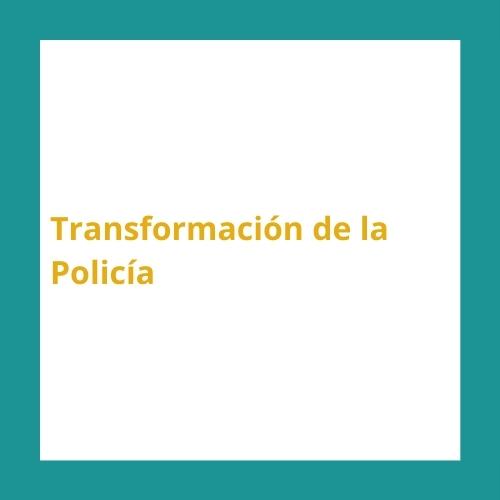 Transformacion-de-la-policia